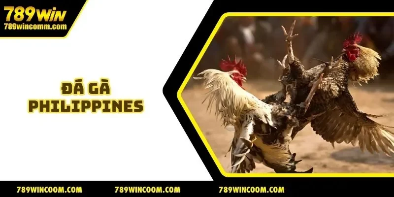 Đá Gà Philippines