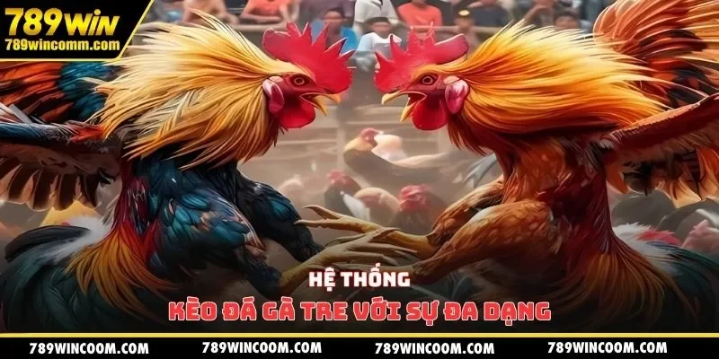 Hệ thống kèo đá gà tre với sự đa dạng