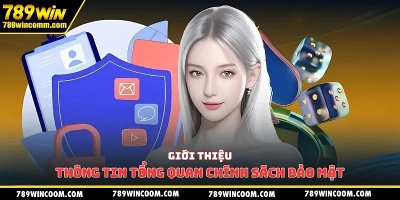 Giới thiệu thông tin tổng quan chính sách bảo mật