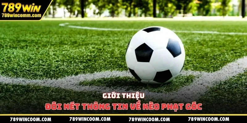 Giới thiệu đôi nét thông tin về kèo phạt góc