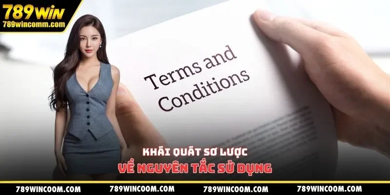 Khái quát sơ lược về nguyên tắc sử dụng