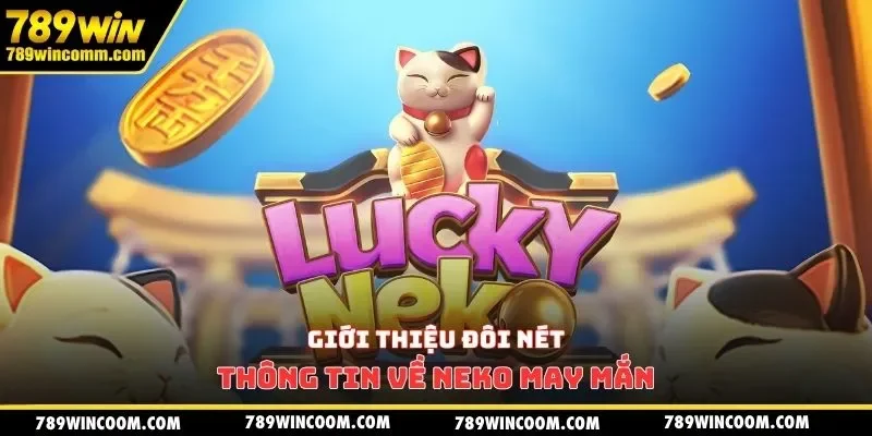 Giới thiệu đôi nét thông tin về Neko may mắn