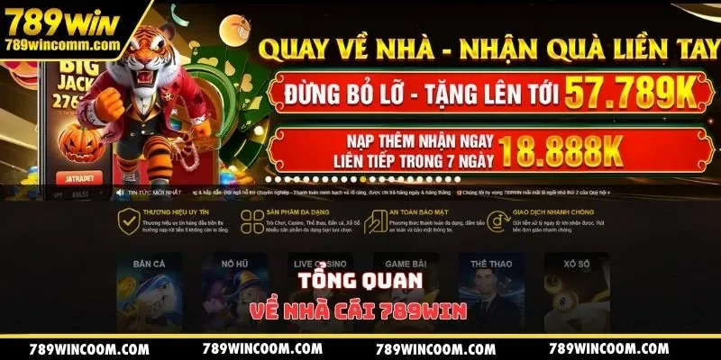 Tổng quan về nhà cái 789Win