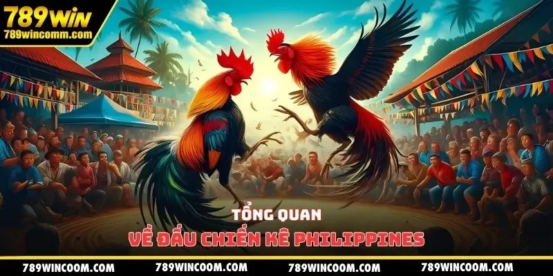 Tổng quan về đấu chiến kê Philippines