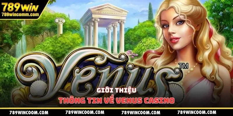 Giới thiệu thông tin về Venus Casino